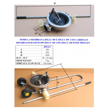 BINDA BARADELLO JOLLY B AISI 304 Self Priming Pump for Gasoline