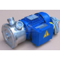 BINDA EP JUNIOR T