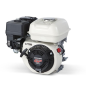 HONDA Motore GP160H VX3