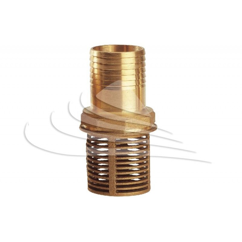 GMP - Succheruola (Ottone) GMP - Succheruola (Ottone)