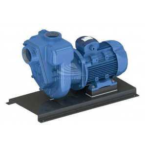 Self-priming monoblock pump for dirty water and not abrasive