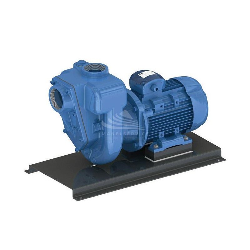 Self-priming monoblock pump for dirty water and not abrasive