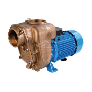 Pumps in marine bronze, monobloc execution with open impeller 