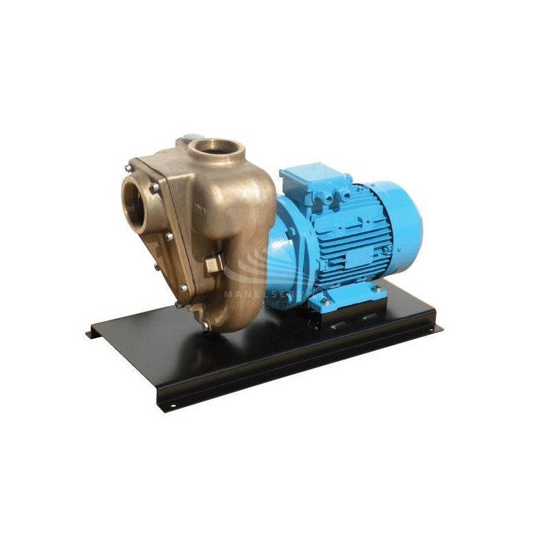 Pumps in marine bronze, monobloc execution with open impeller 