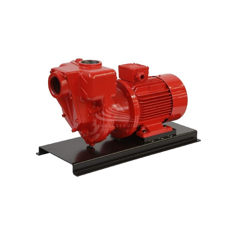 Self priming electric pumps in accordance with standards ATEX 94/9/CE