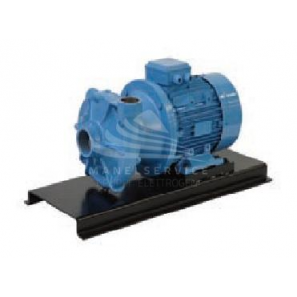 Electric centrifugal pumps, for domestic hydraulic equipments