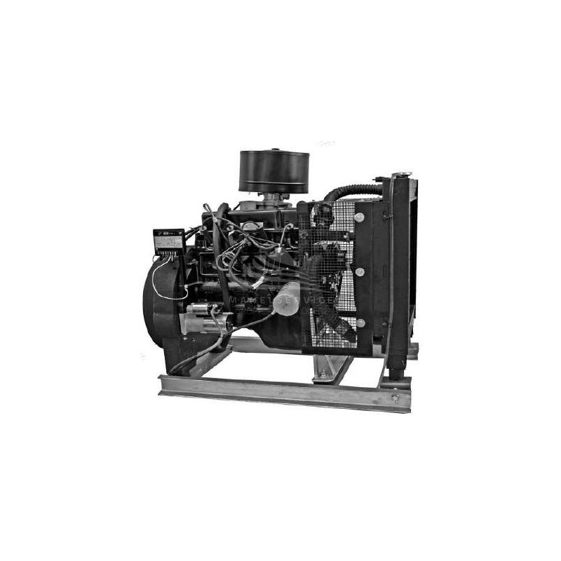 CGM 25NG GAS METANO - APERTO CON CENTRALINA MANUALE