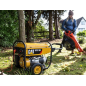 CAT CATERPILLAR RP3100 SINGLE PHASE GASOLINE 3.1 KW AVR