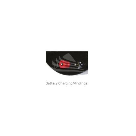 MECC ALTE INSULATED BATTERY CHARGER WINDING