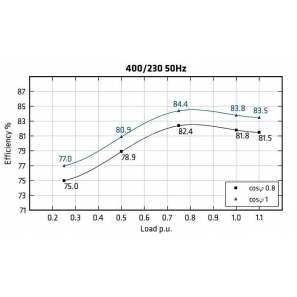 MECC ALTE ECP3-1S/4 - Efficiency