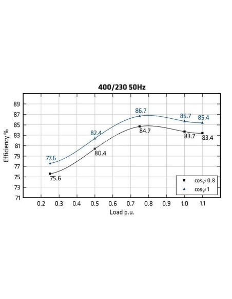 MECC ALTE ECP3-2S/4 - Rendimento