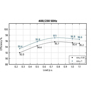 MECC ALTE ECO43-2S/4 - Efficiency