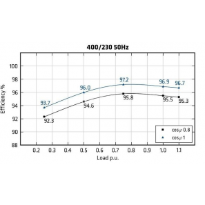 MECC ALTE ECO43-1M/4 - Efficiency