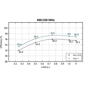 MECC ALTE ECO43-2M/4 - Efficiency