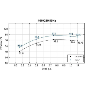 MECC ALTE ECO43-2L/4 - Efficiency