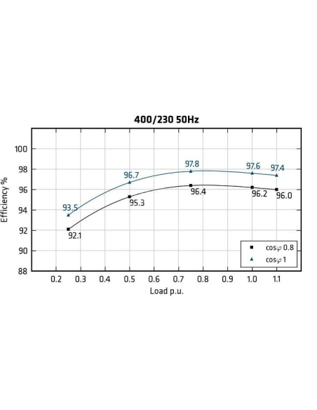MECC ALTE ECO43-VL/4 - Efficiency
