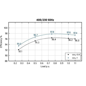 MECC ALTE ECO43-VL/4 - Efficiency
