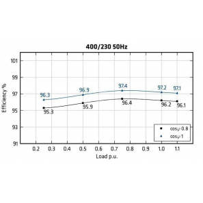 MECC ALTE ECO46-1S/4 - Efficiency