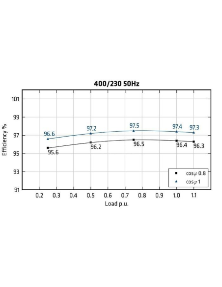 MECC ALTE ECO46-2S/4 - Rendimento