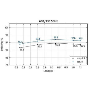 MECC ALTE ECO46-1L/4 - Efficiency