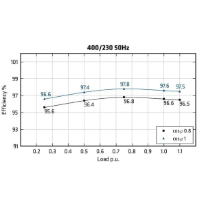 MECC ALTE ECO46-1L/4 - Efficiency