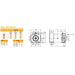 SINCRO ALTERNATORE TRIFASE GT STEEL