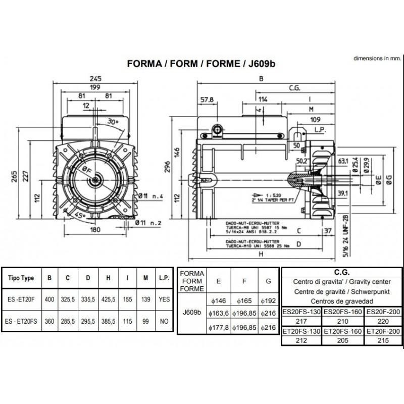 MECC ALTE ES20F ALTERNATORE MONOFASE AVR