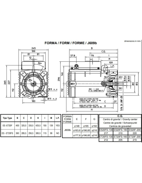 MECC ALTE ES20F ALTERNATORE MONOFASE AVR