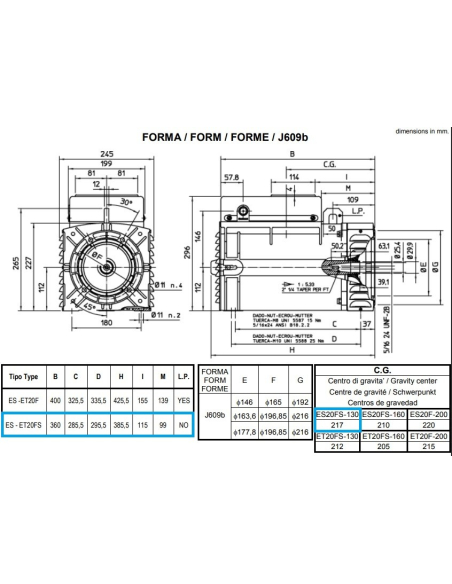 MECC ALTE ES20F ALTERNATORE MONOFASE AVR
