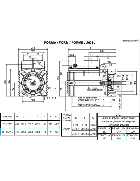 MECC ALTE ET20FS THREE PHASE ALTERNATOR AVR