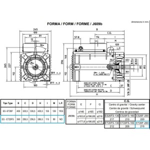 MECC ALTE ET20FS ALTERNATORE TRIFASE AVR