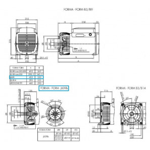 LINZ E1C11M C Alternatore Monofase 115/230V 12 kVA 50 Hz senza spazzole