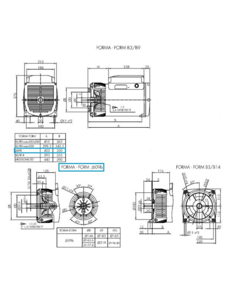 LINZ E1C11M B Alternatore Monofase 115/230V 12 kVA 50 Hz senza spazzole