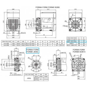 LINZ E1E13S C Alternatore Monofase 110V/220V 15.6 kVA 60 Hz AVR