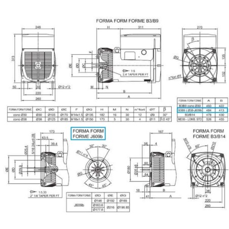 LINZ E1E13M D Alternatore Monofase 115V/230V 15 kVA 50 Hz 60 Hz AVR