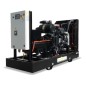 GREEN POWER GP176A/I-N APERTO (CENTRALINA MANUALE)