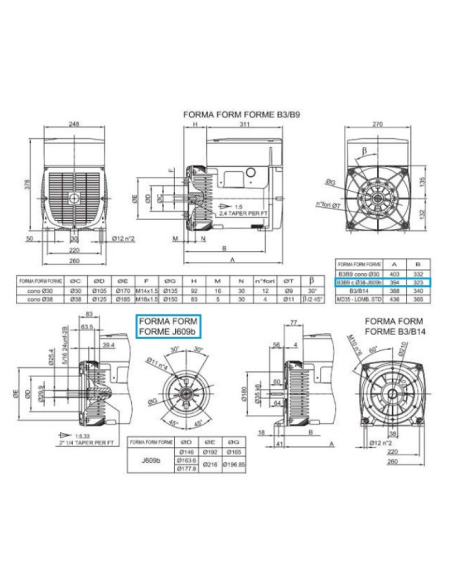 LINZ E1S13S C/2 Alternatore Trifase 230V/400V 16 kVA 50 Hz Compound