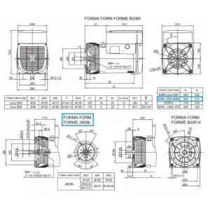 LINZ E1S13M D/2 Alternatore Trifase 230V/400V 22 kVA 50 Hz Compound