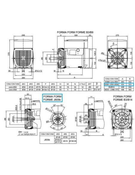 LINZ E1X13S B/2 Alternatore Trifase 230V/400V 10 kVA 50 Hz AVR