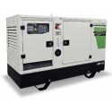 GREEN POWER GP66S/D APERTO CON ALTERNATORE AVR-LINZ (CENTRALINA MANUALE)