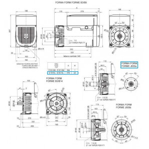 LINZ E1S10L L KE Three-phase alternator 277V/480V 11 kVA 60 Hz AVR + Compound