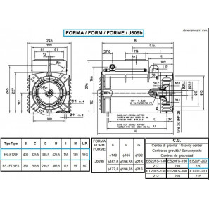 MECC ALTE ES20F-200 ALTERNATORE MONOFASE 11 KVA AVR