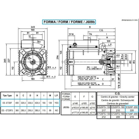 MECC ALTE ES20F-200 ALTERNATORE MONOFASE 11 KVA AVR MECC ALTE ES20F-200 ALTERNATORE MONOFASE 11 KVA AVR