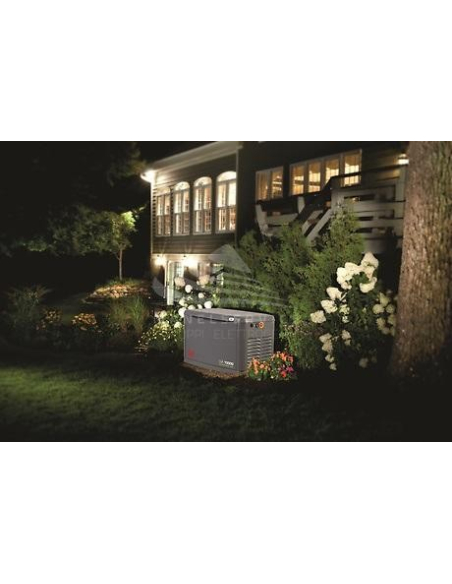 PRAMAC GA20000 20 KVA GPL - 17 KVA GAS NATURALE