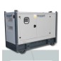 TESSARI ERLE EUW 440 GRUPPO ELETTROGENO 440 KVA A INTERVENTO MANUALE E AUTOMATICO CON 3 QUADRI ATS TESSARI ERLE EUW 440 GRUPPO ELETTROGENO 440 KVA A INTERVENTO MANUALE E AUTOMATICO CON 3 QUADRI ATS