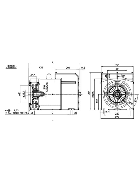 MECC ALTE ECP3-2L/2 ALTERNATORE TRIFASE 3000 GIRI 19 KVA AVR