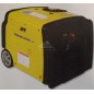 LTF RP35CGEI SINGLE PHASE GASOLINE 3.2 KW INVERTER