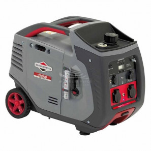 BRIGGS AND STRATTON P3000