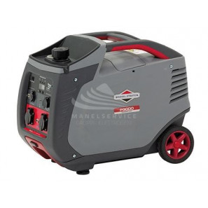 BRIGGS AND STRATTON P3000