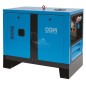 Gruppo elettrogeno CGM DS4000